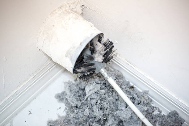 Best Air Duct Cleaning Near Me  in Carney, MD